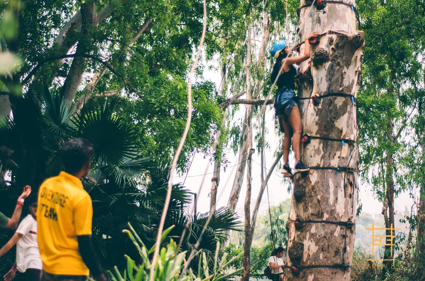 Resort with Tree Climbing Activities, Adventure resorts